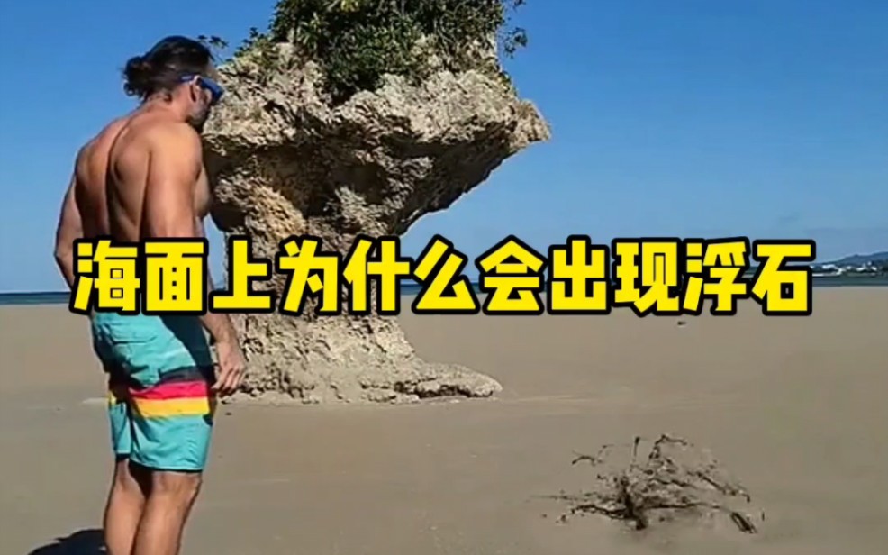 海面上为什么会出现浮石哔哩哔哩bilibili