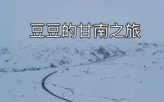 龙头琴 搜索结果 哔哩哔哩 Bilibili