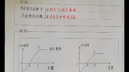 光合作用系列图像之三——点移动的问题哔哩哔哩bilibili