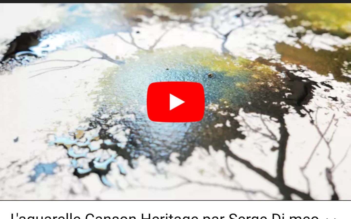 [图]【水彩技法】康颂推出的“教程示范”L'aquarelle Canson Heritage par Serge Di meo