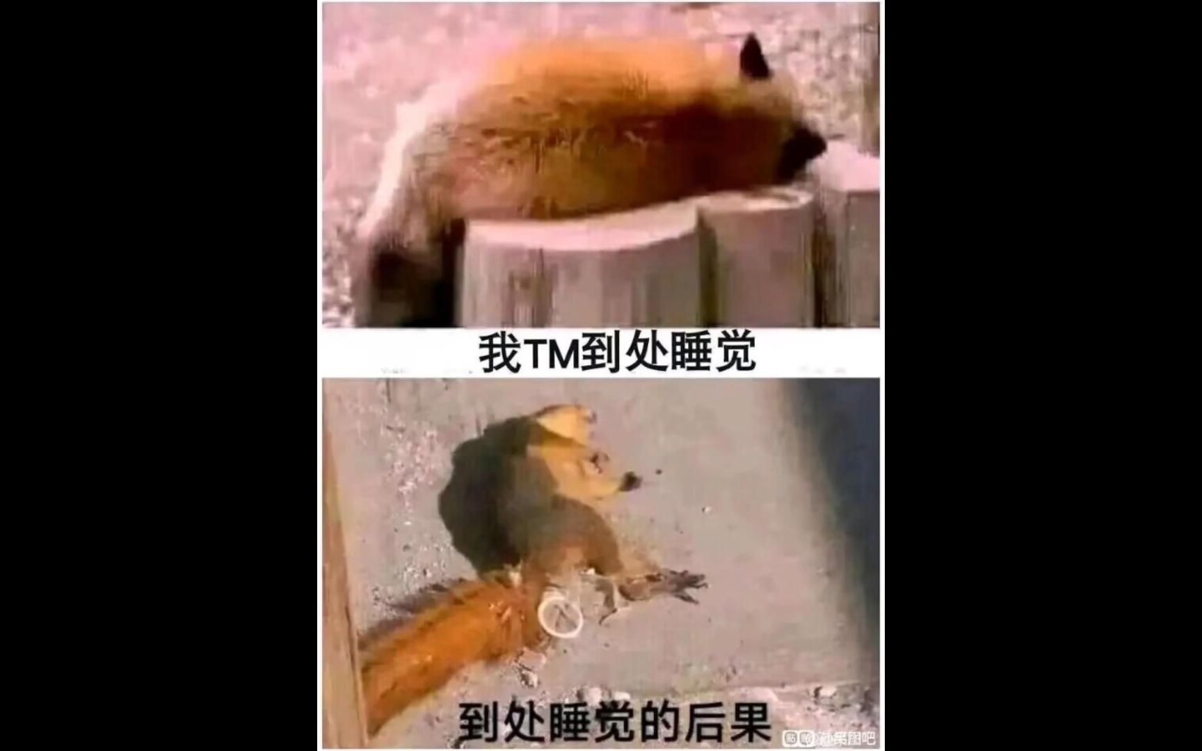 网络搞笑梗图第31期哔哩哔哩bilibili