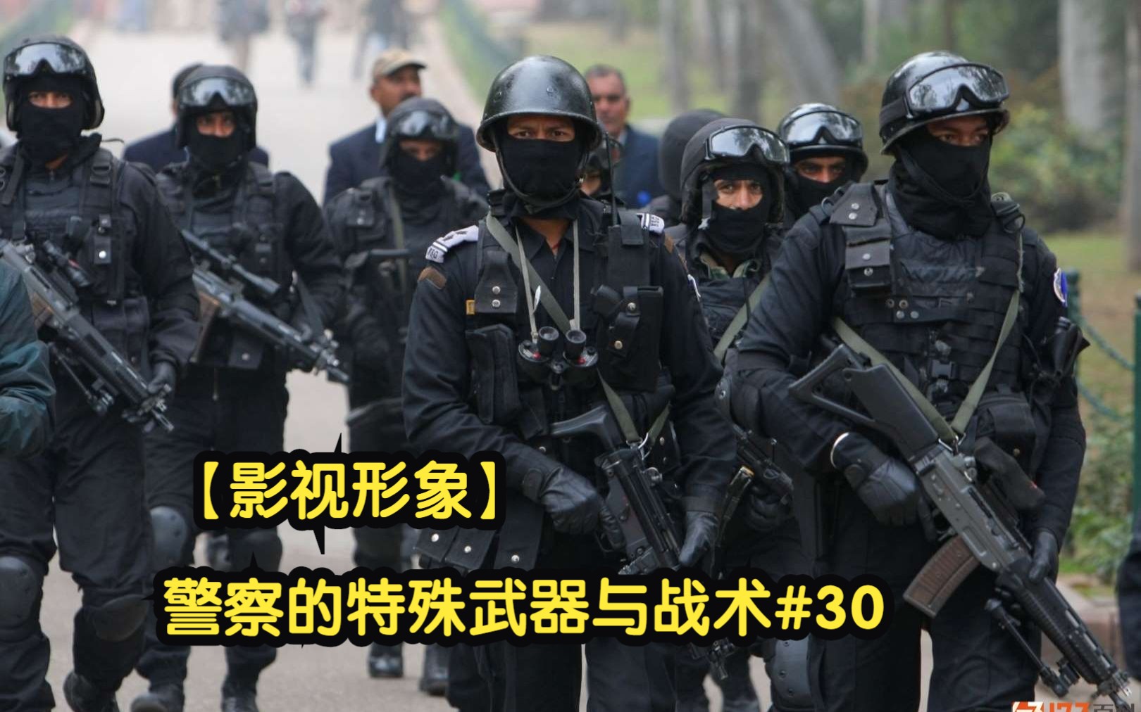 [图]警察的特殊武器与战术#30