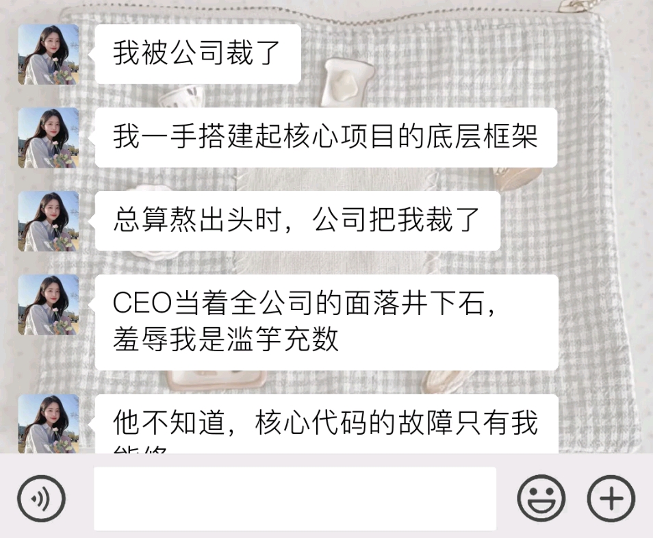 我被公司裁了…我一手搭建起核心项目的底层框架 总算熬出头时,公司把我裁了,CEO当着全公司的面落井下石,羞辱我是滥竽充数,他不知道,核心代码...