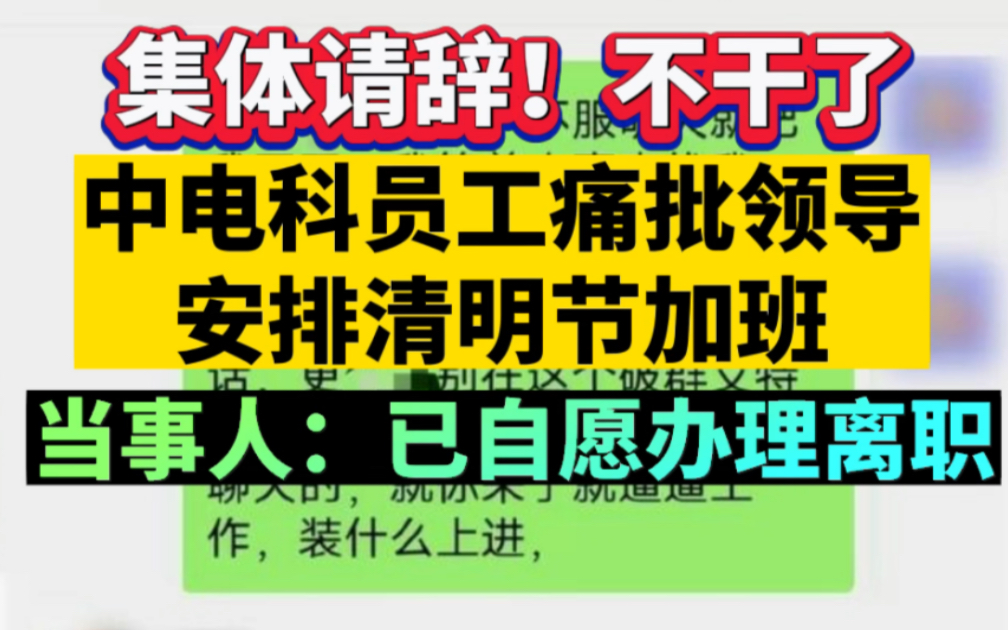 集体辞职!不干了,中电科员工痛批领导安排清明节加班,当事人:已自愿办理离职哔哩哔哩bilibili