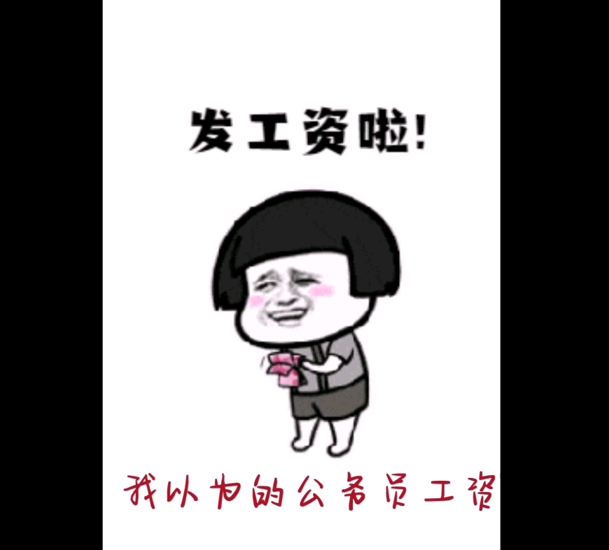 乡镇公务员工资实发哔哩哔哩bilibili