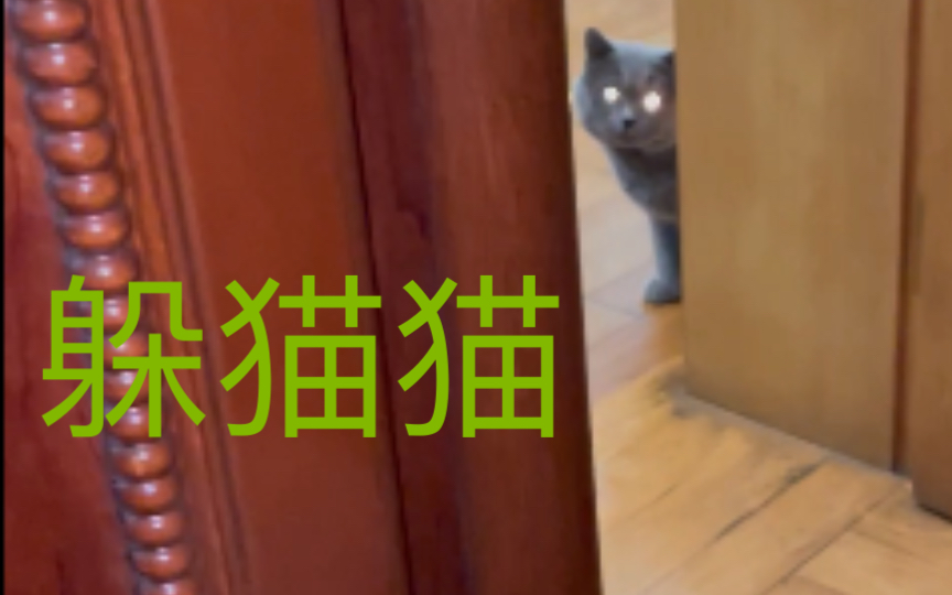 [图]【汤姆猫】真 躲猫猫