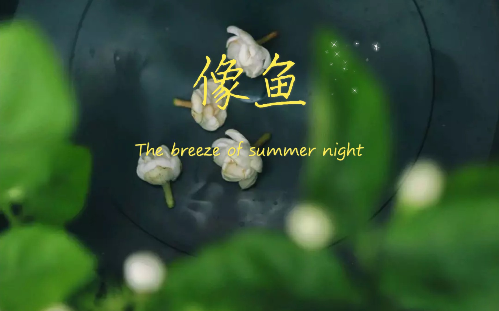 活动作品《像鱼》