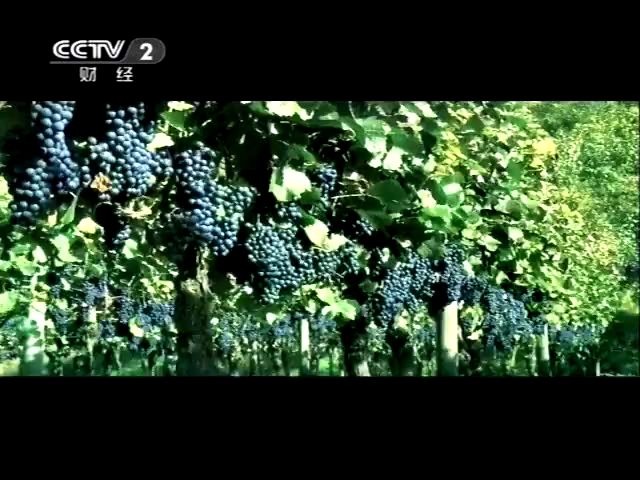 [内地广告](2012)尼雅产地生态葡萄酒哔哩哔哩bilibili