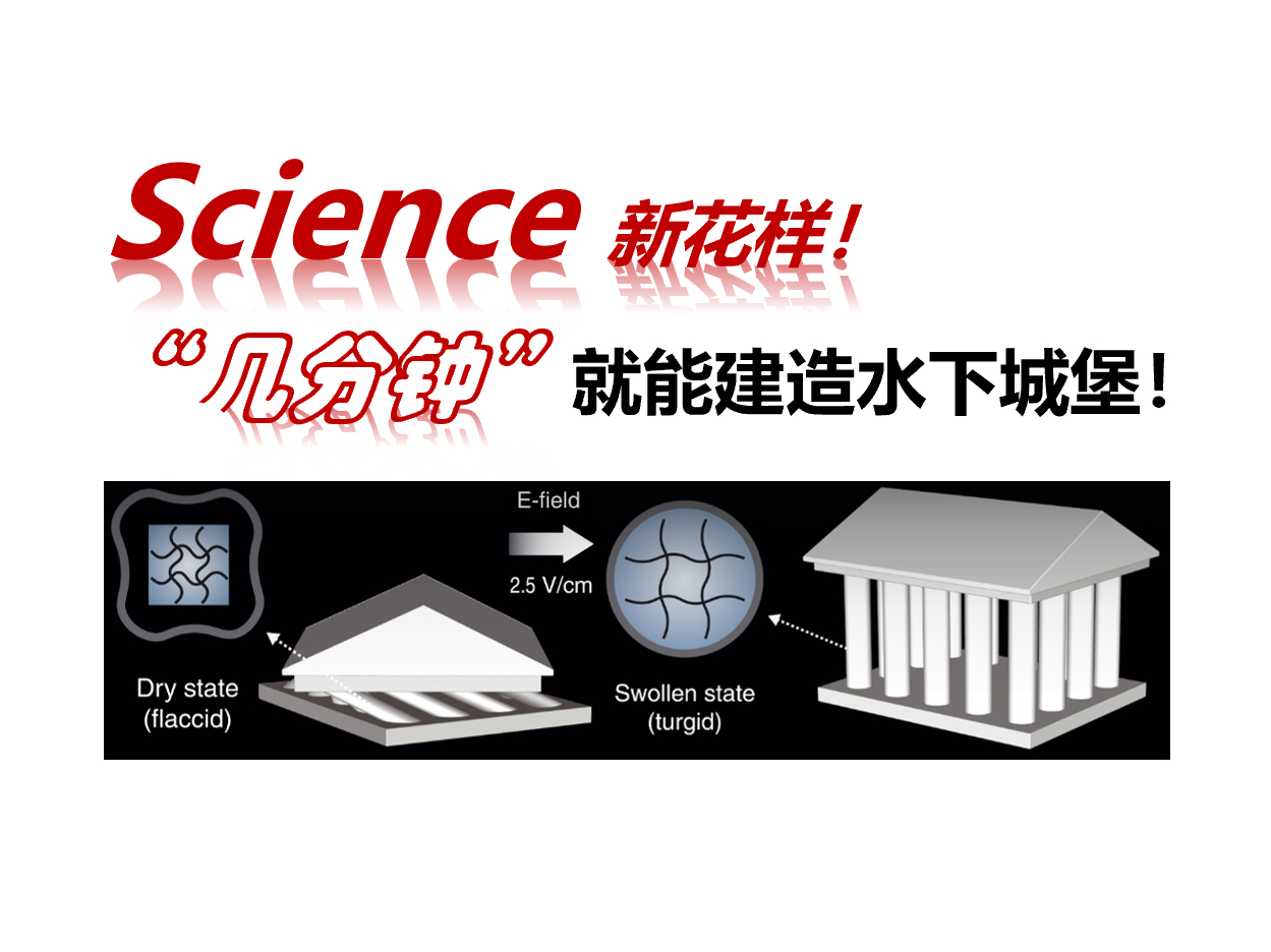 【Science】更强更快致动器(刘艳华)哔哩哔哩bilibili