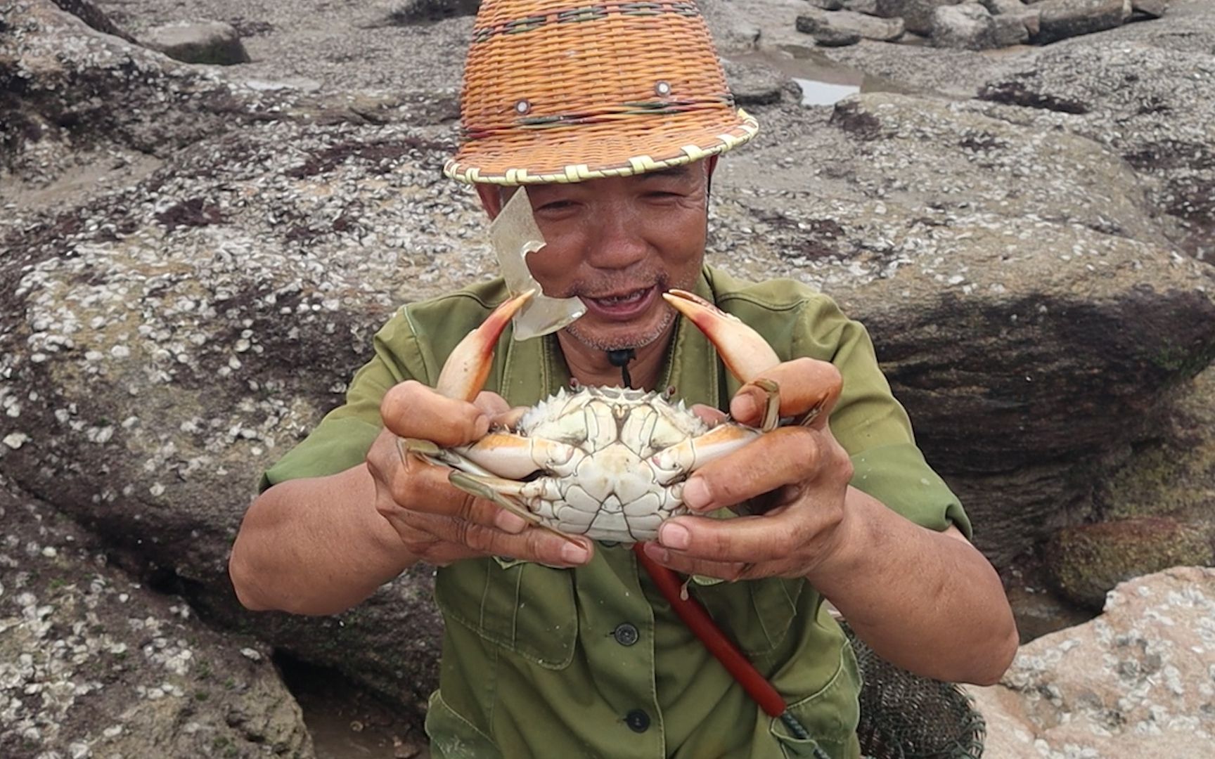 泰叔赶海去勾勾螃蟹,抓到凶猛的大肥货,一钳子把玻璃都夹碎了