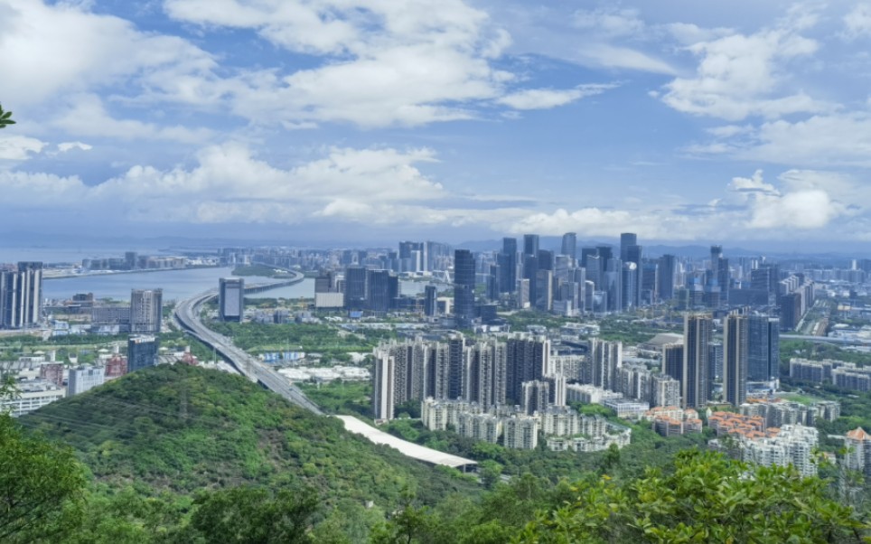 深圳市大南山景点图图片