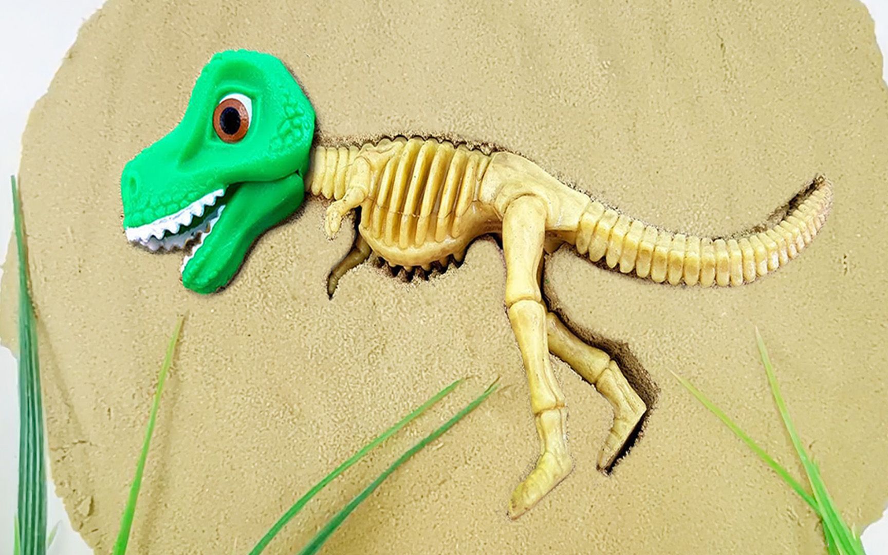 哇恐龙骨头这是什么恐龙霸王龙吗