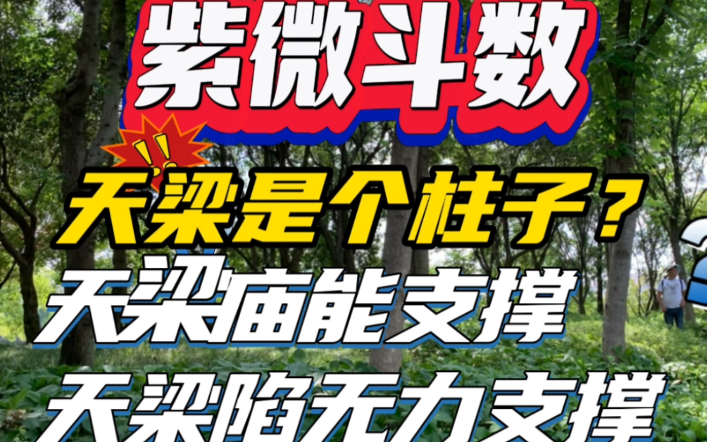 紫微斗数,天梁星在四马地只有寅宫是庙旺的在巳申亥都是落陷,天梁陷是支撑不住,田宅宫就是家中风雨飘摇.无根之木,想要依靠靠不住,心里没底没数...