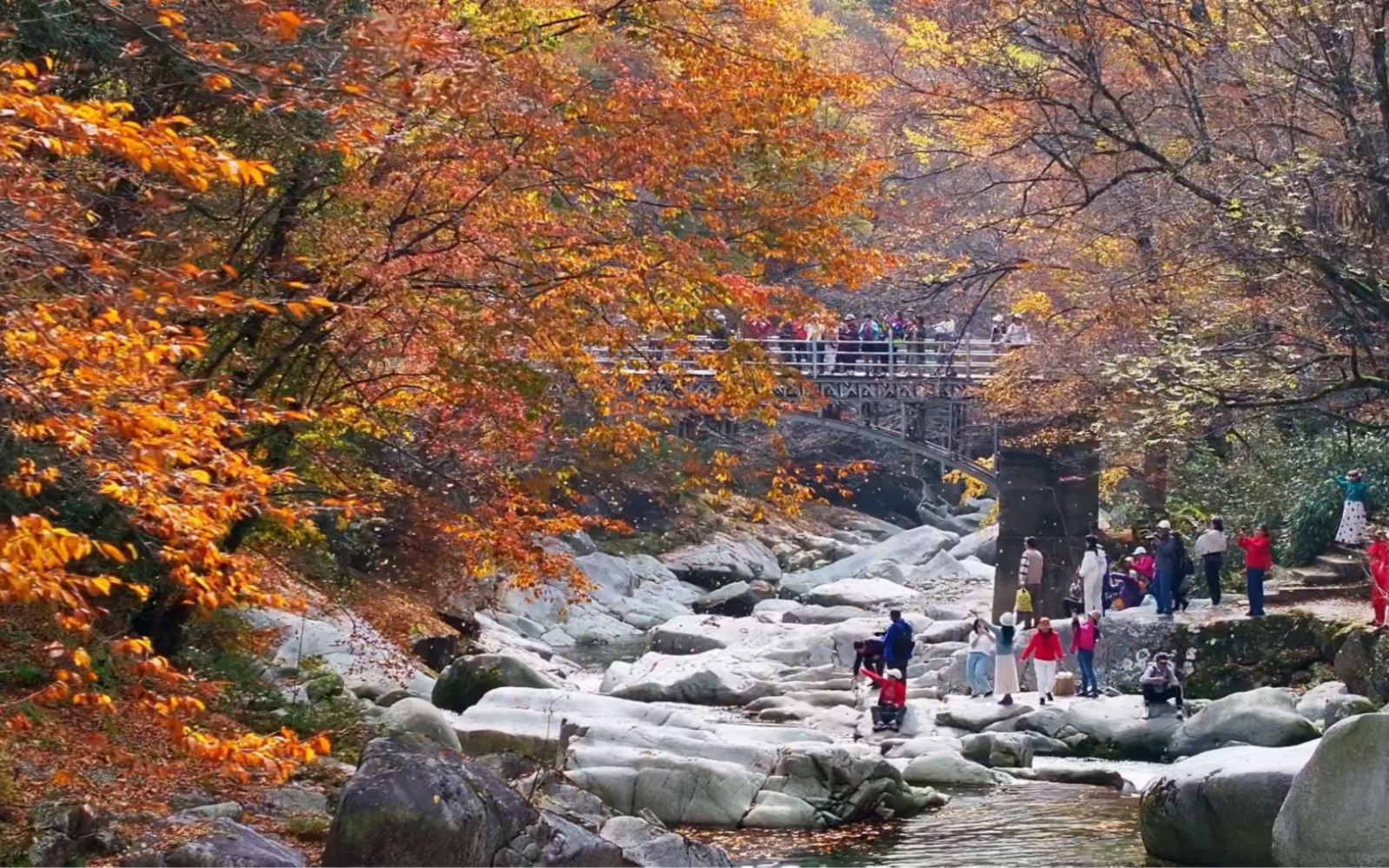 [图]光雾山·秋