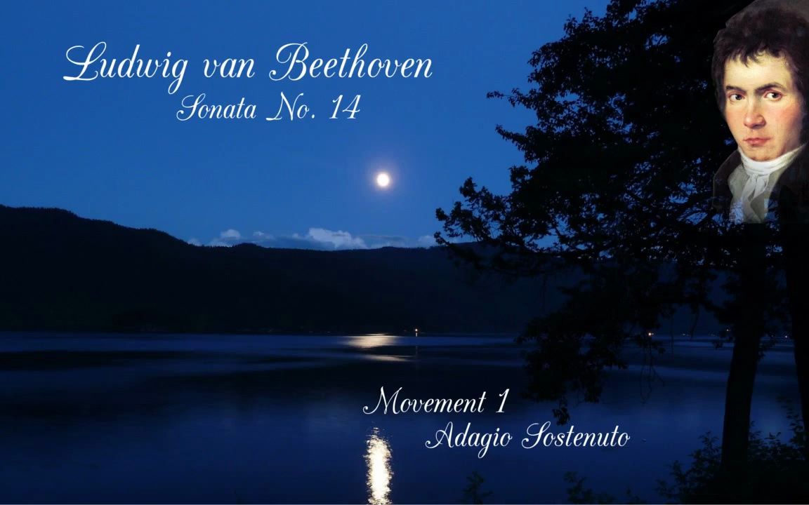 不可能存在的贝多芬月光奏鸣曲(纯律)
