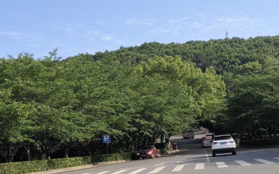 本科阶段还有最后一个月骑车绕珞珈山转转路上还挺热闹的跑步的学生