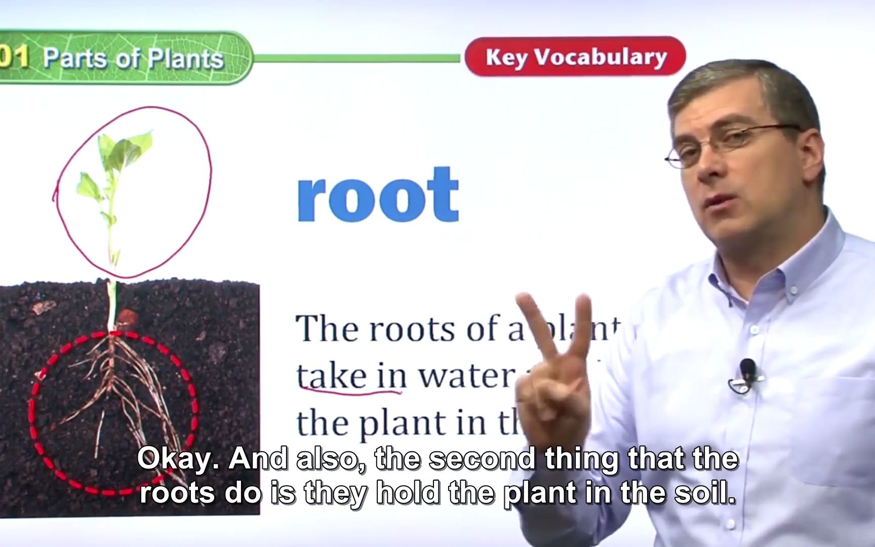 [图]美国中小学精选课程0基础英语启蒙自然课程-01 Parts of Plant