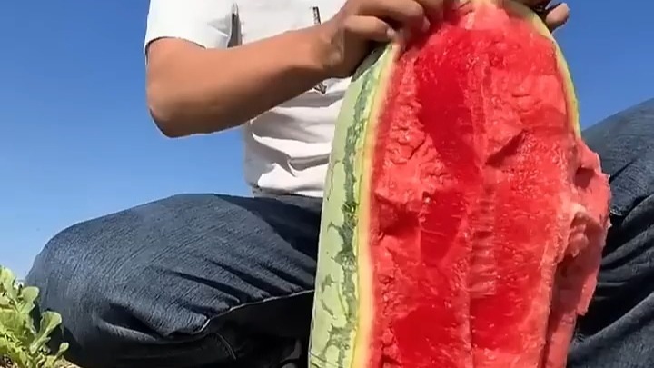 手撕西瓜