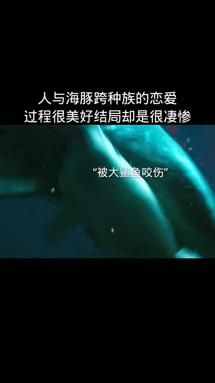 人与海豚跨种族的恋爱的过程很美好结局却是很凄惨哔哩哔哩bilibili