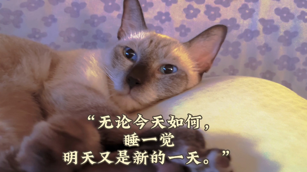 无论今天如何,明天又是新的一天