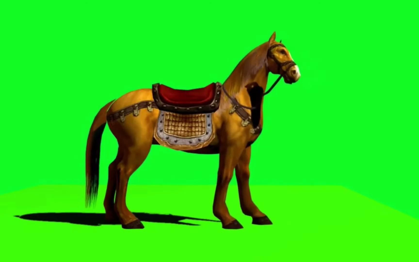 绿幕视频素材战马