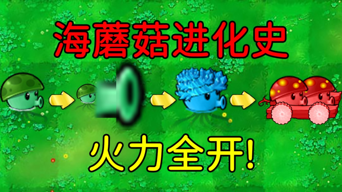 海蘑菇进化史!