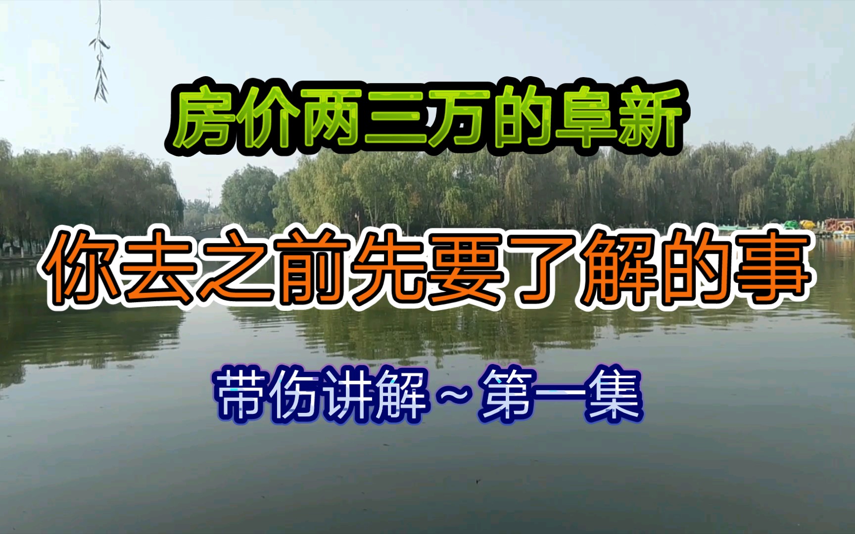 两三万一套房的阜新 你去之前需要知道的那些事1哔哩哔哩bilibili