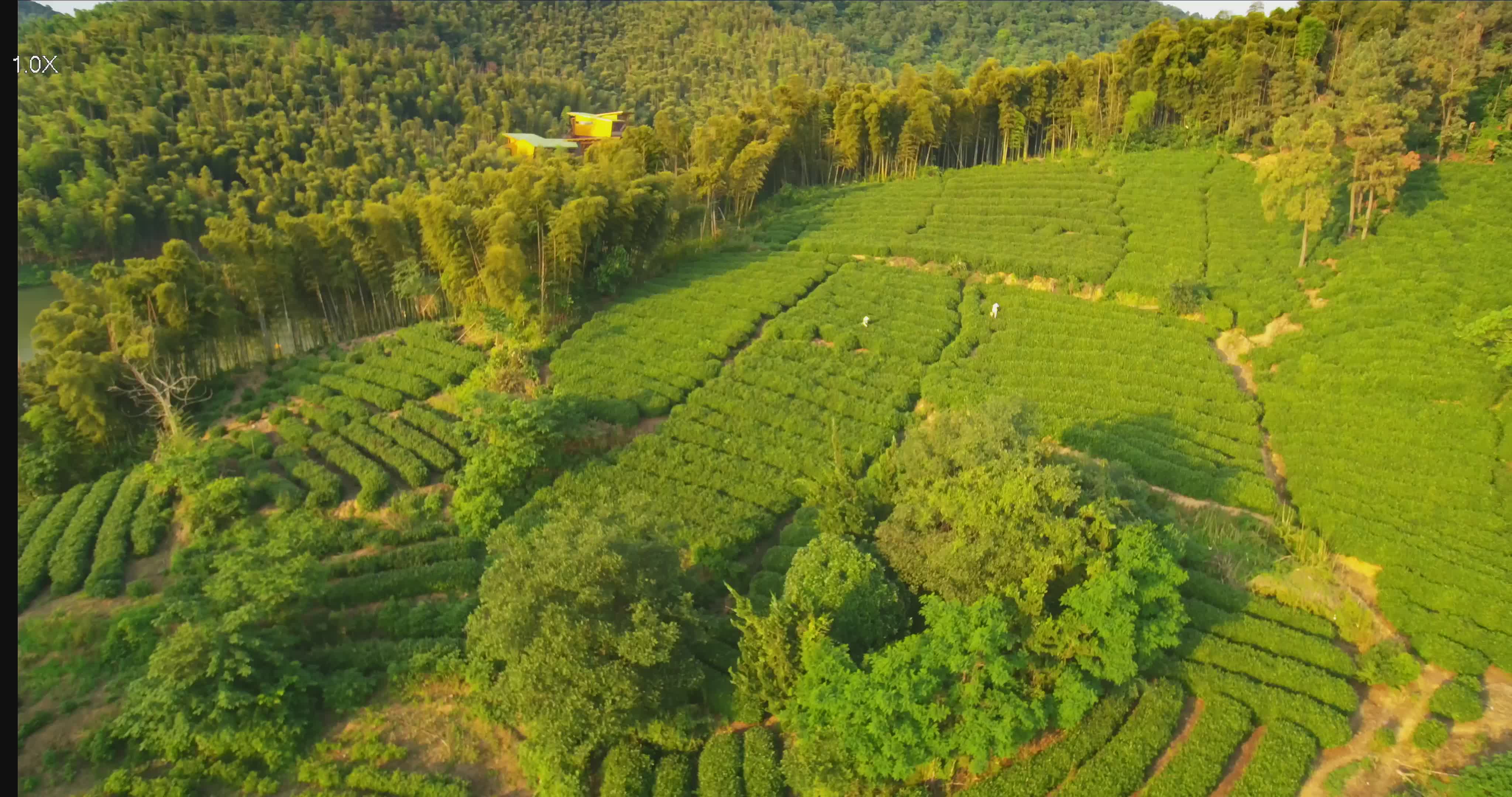 杭州视辉科技3.5倍4K吊舱航拍 3.5X 4K Drone camera哔哩哔哩bilibili