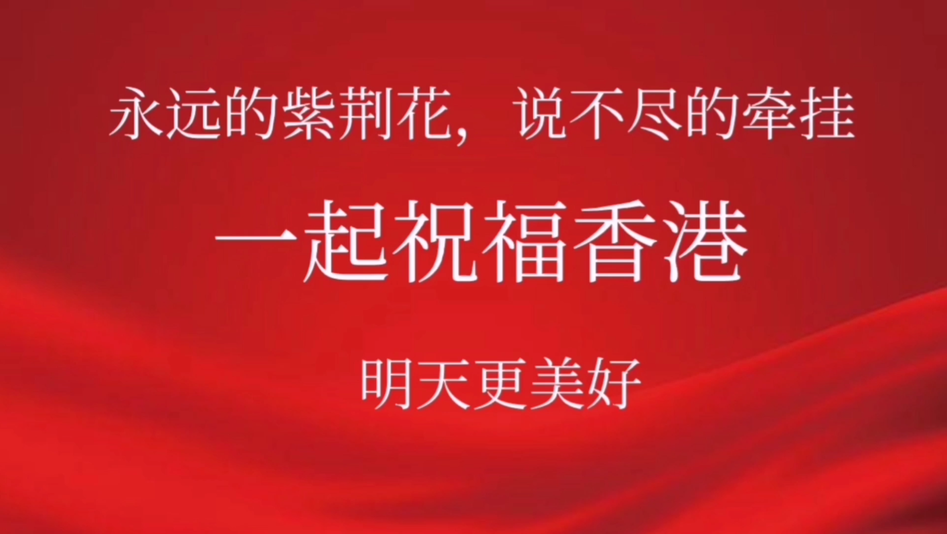 [图]永远的紫荆花，说不尽的牵挂，一起祝福香港，明天更美好