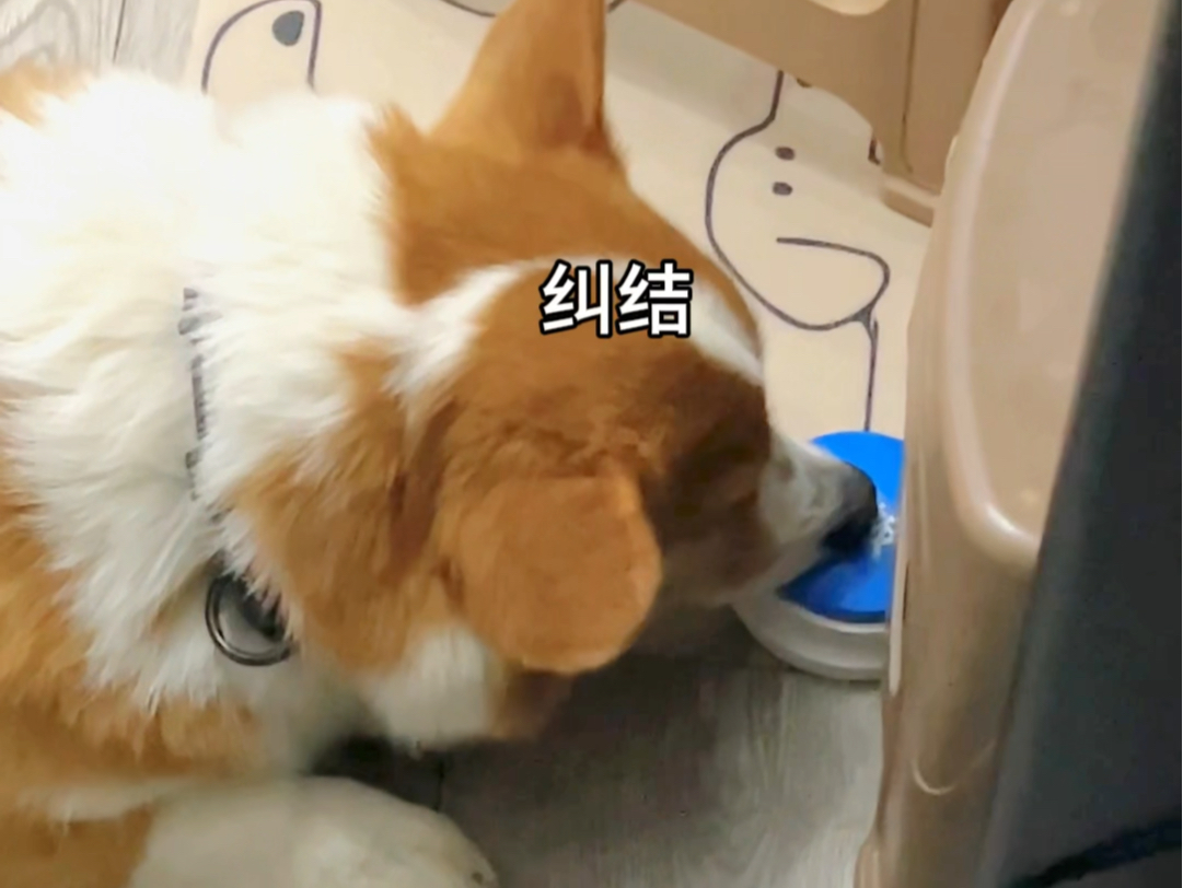 看得出是经历了一番内心的挣扎