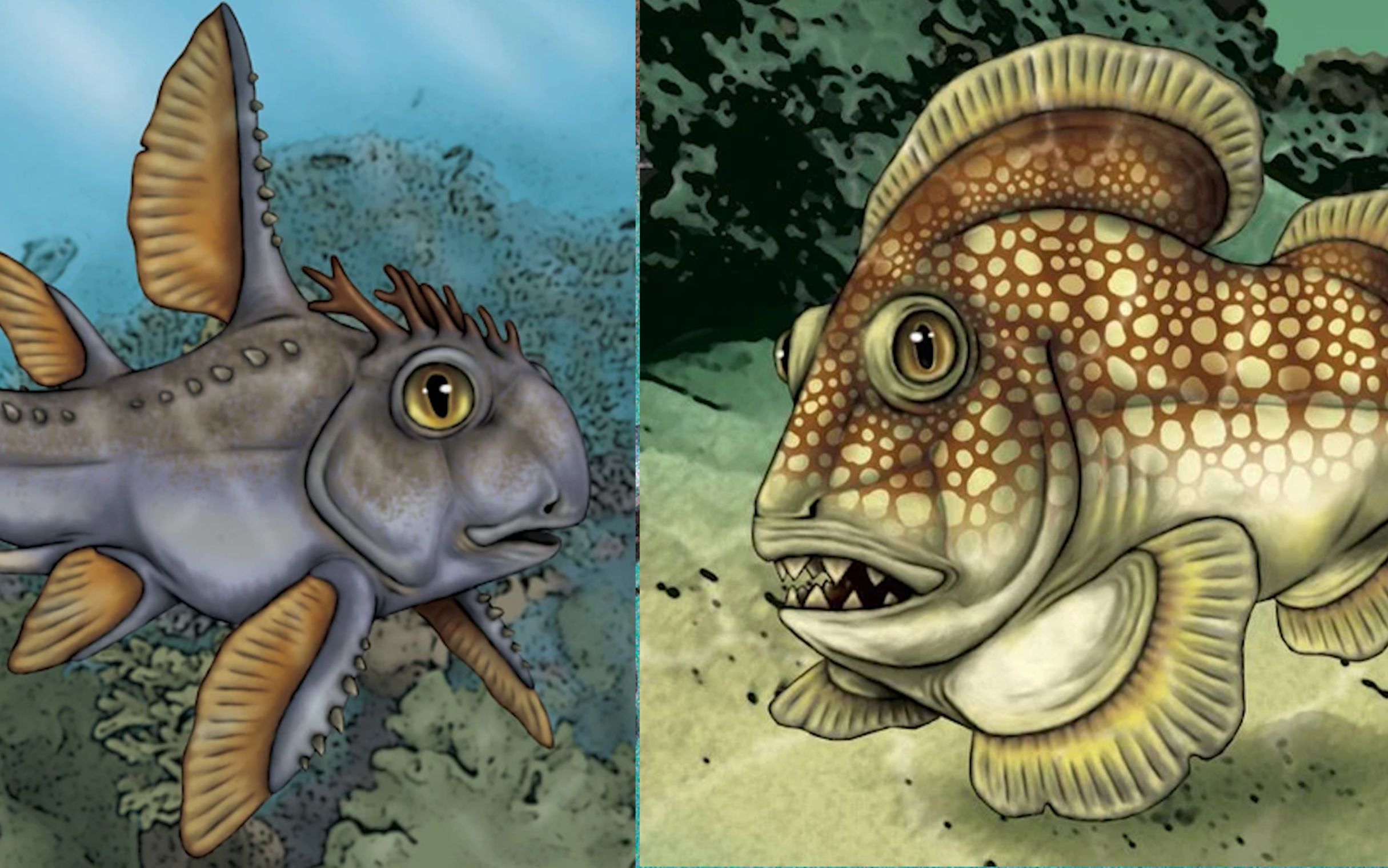 6.1石炭纪的新生:跨越泥盆纪大灭绝_哔哩哔哩_bilibili