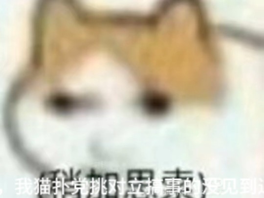 猫扑党在变圈被围殴现状哔哩哔哩bilibili