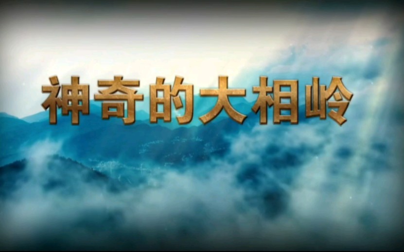 [图]成都理工大学双一流学科建设＂文化传承与创新＂专项支持项目，跨学科联合创作∶CCTV-10科教频道《地理·中国》——《神奇的大相岭》（上下集）