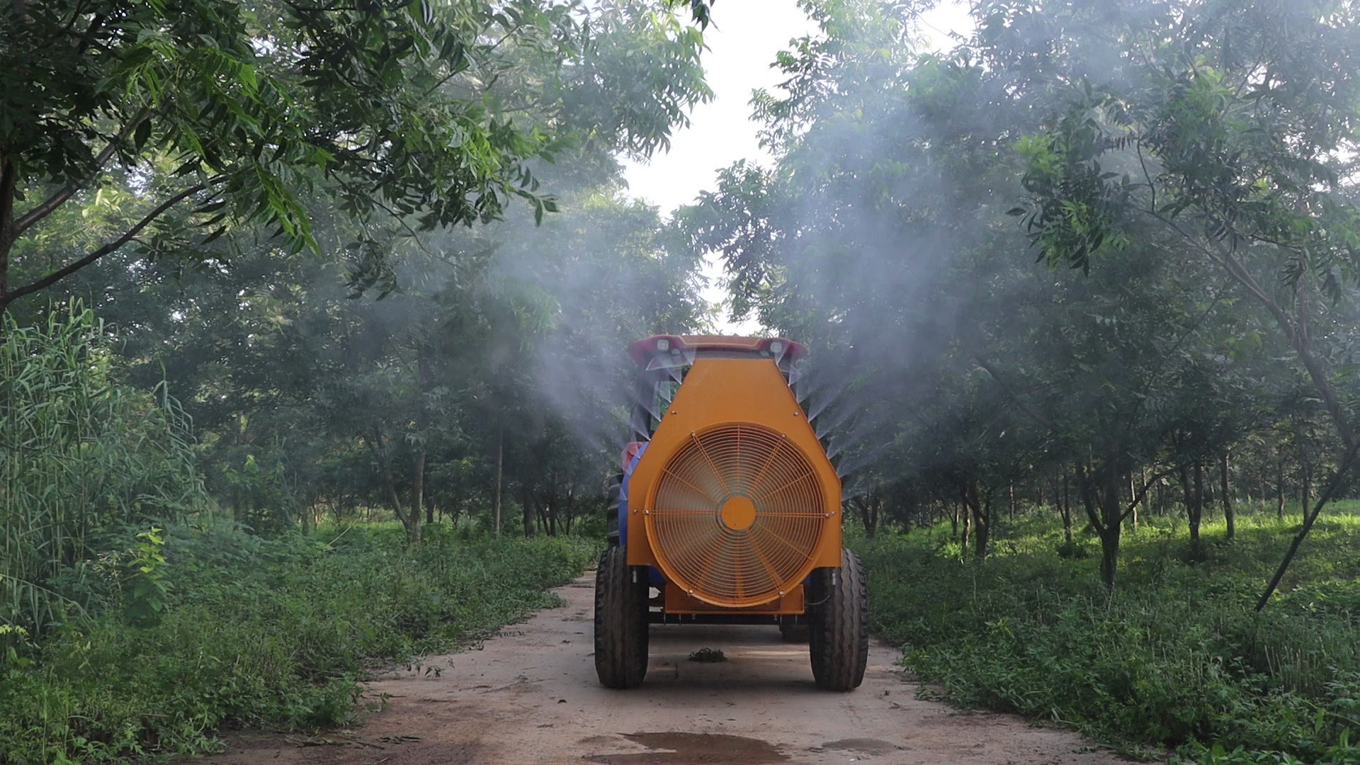 牵引式风送打药机2000l核桃园打药效果