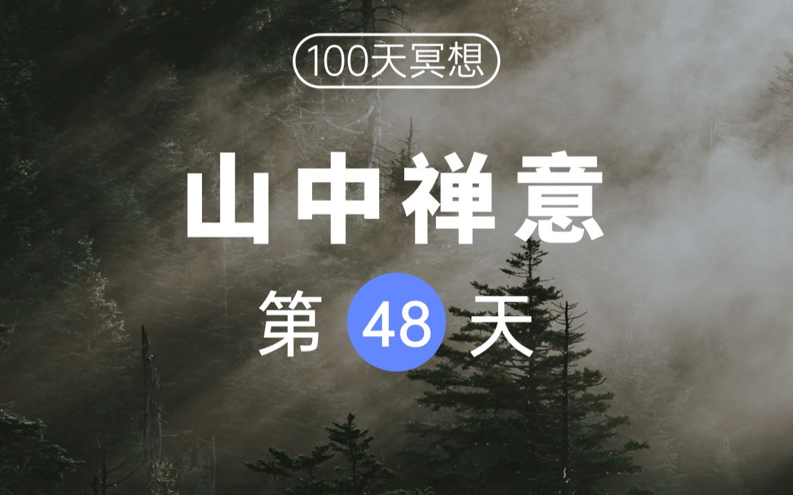 【100天冥想挑战】 Day48 | 山岛竦峙,在想象中体会山中禅意哔哩哔哩bilibili