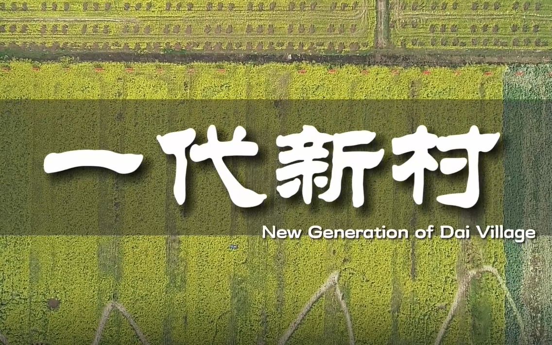 [图]【专题纪录片】一代新村-乡村振兴“领头雁”-代村的新时代-New Generation of Dai Village