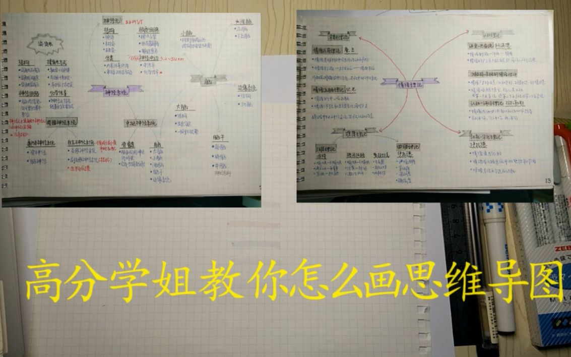 跟着上岸学姐学画思维导图~哔哩哔哩bilibili