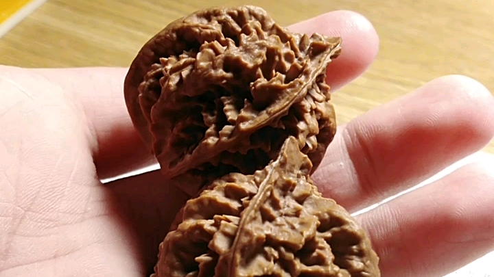 记录 一对龙骨灯笼 秋子核桃_哔哩哔哩_bilibili