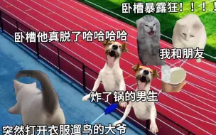 下载视频: 【猫猫meme】在学校遇见了暴露狂