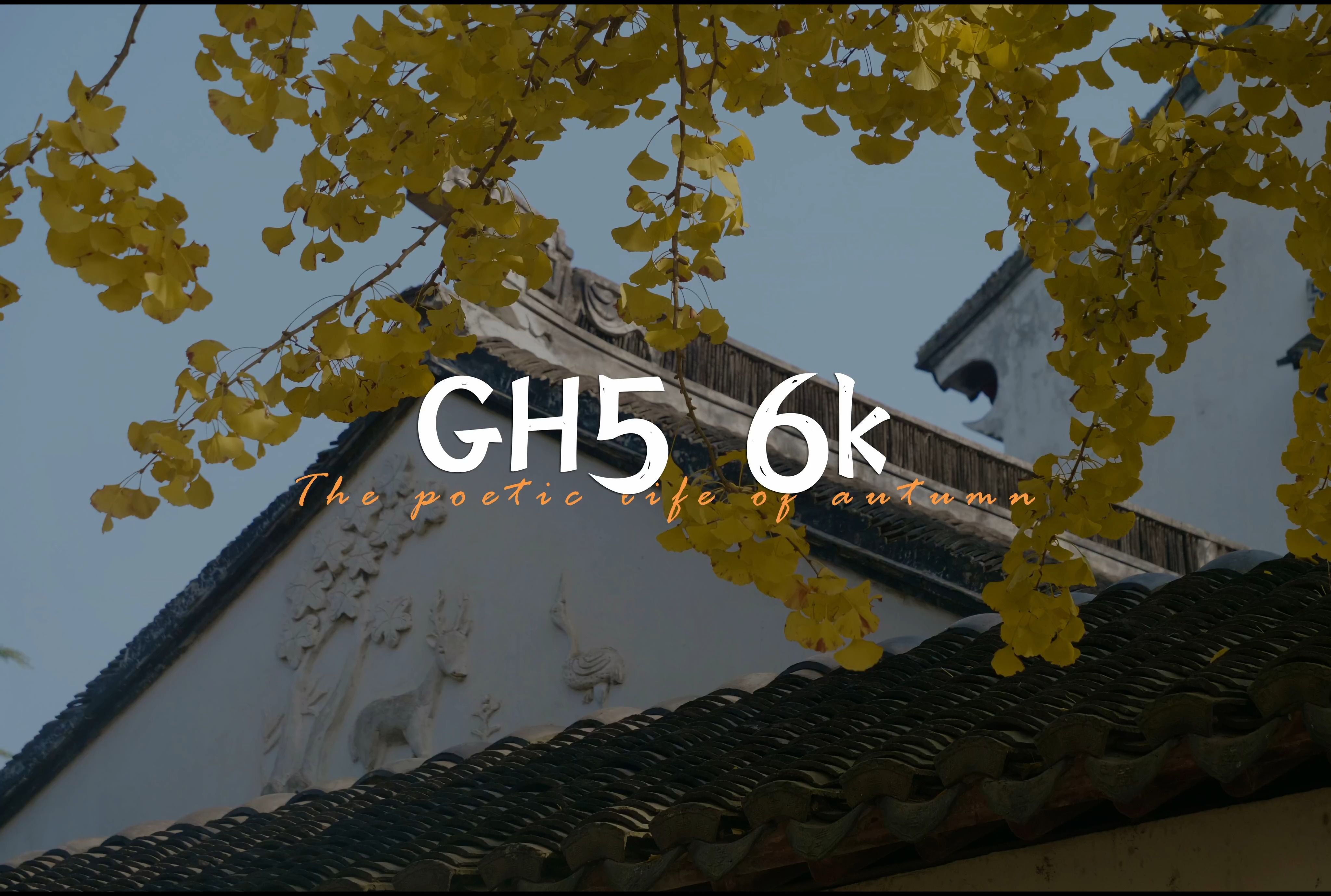 GH5 || 最具性价比的6K神机!哔哩哔哩bilibili