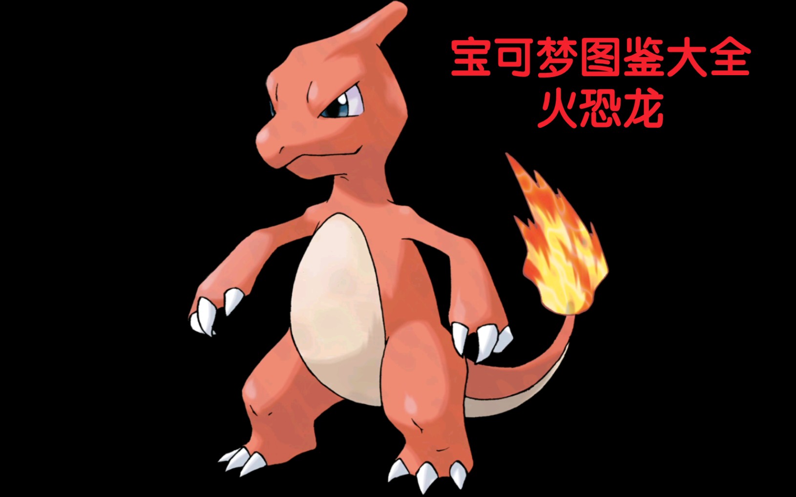 【宝可梦图鉴大全】005 火恐龙