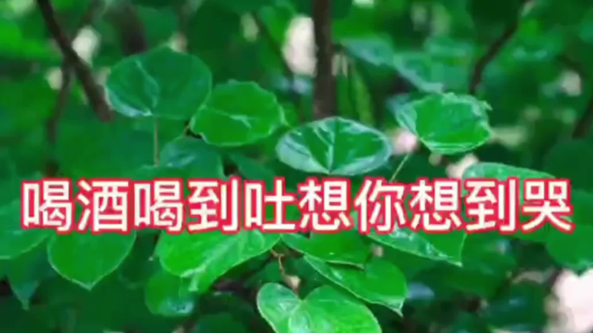 [图]庄杰演唱歌曲《喝酒喝到吐想你想到哭》句句扎心