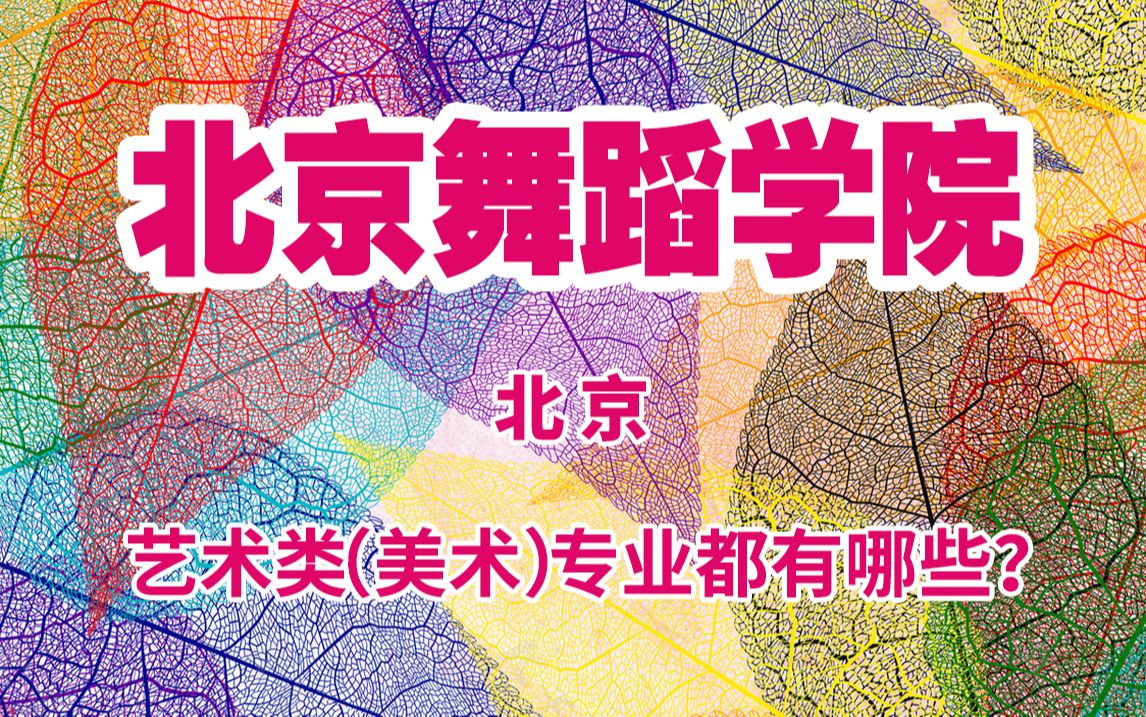 北京舞蹈学院 美术生可以报考的大学