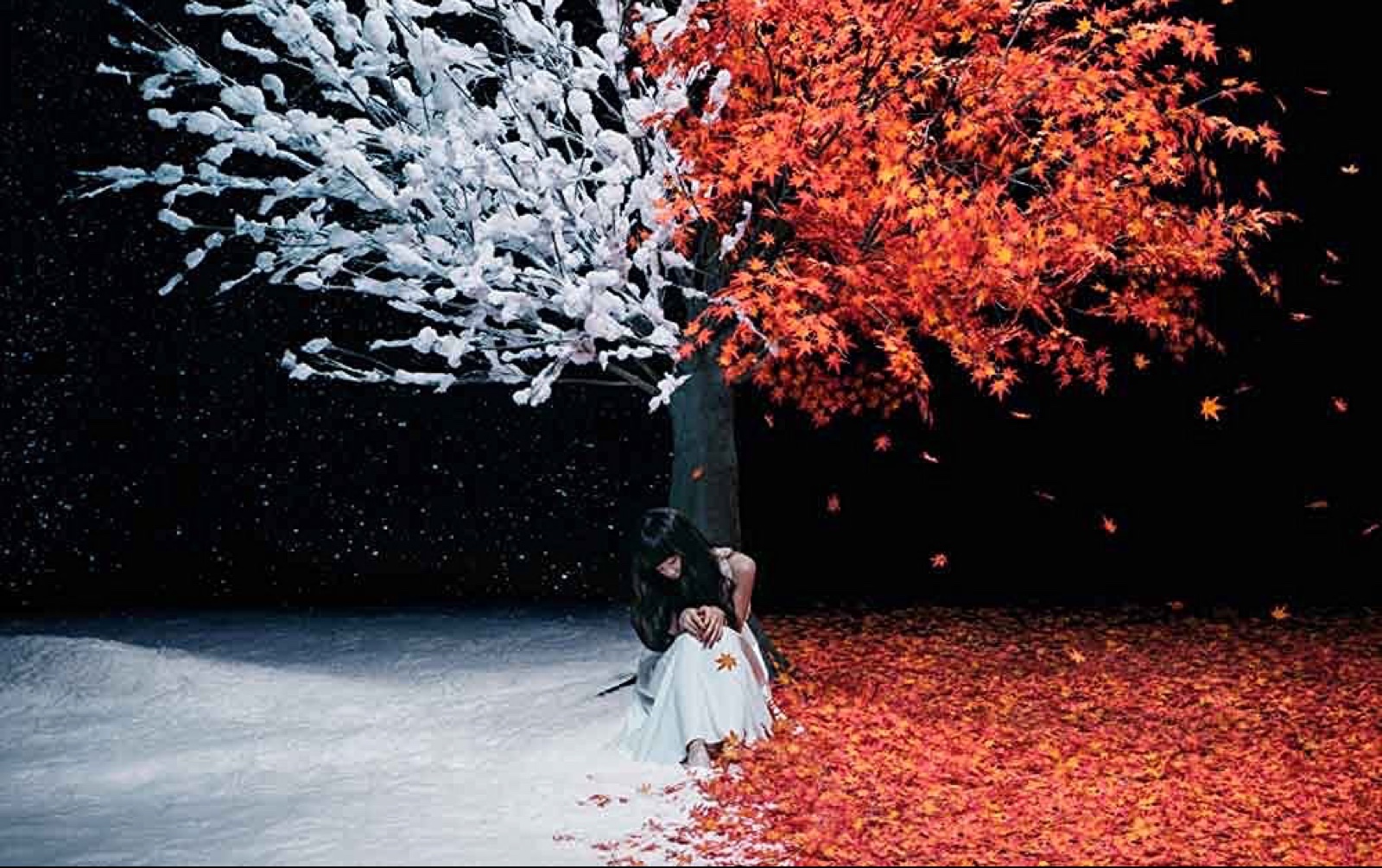 库乐队爆肝扒带aimer【everlasting snow】建议带耳机食用_哔哩哔哩