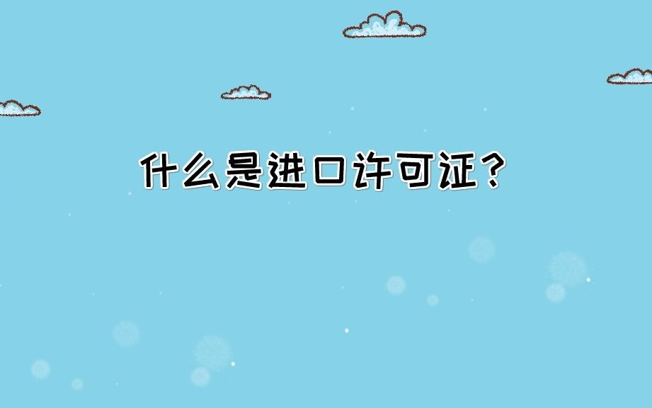 什么是进口许可证?哔哩哔哩bilibili