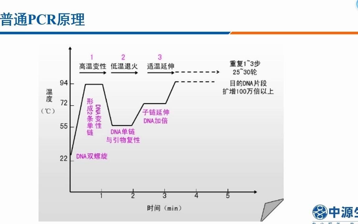 PCR定义、技术原理介绍及产品分享哔哩哔哩bilibili