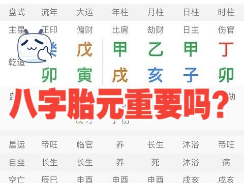 八字胎元重要吗?有没有用?哔哩哔哩bilibili