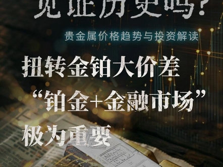 扭转金铂大价差,“铂金+金融市场”极为重要哔哩哔哩bilibili