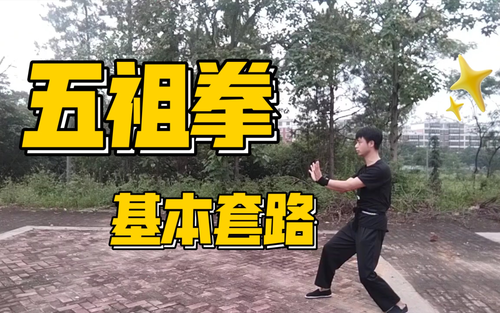 【圆子】五祖拳基本套路——三战,二十拳_哔哩哔哩_bilibili