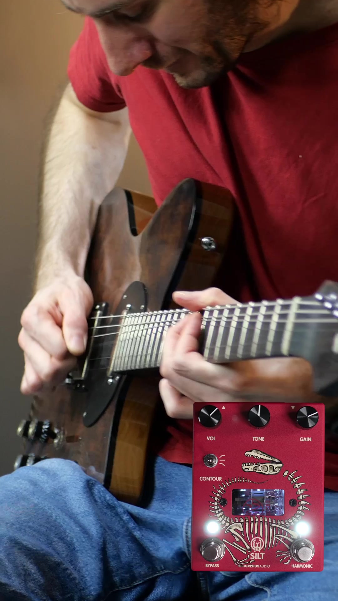 这是一个快速的原始即兴与新的 @ walrus音频silt谐波模糊!